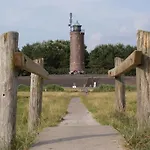 Bernsteinsucher