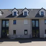 Bernsteinsucher Böhl