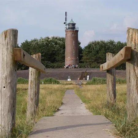 Bernsteinsucher