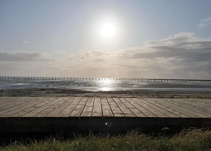 Bernsteinsucher * Böhl